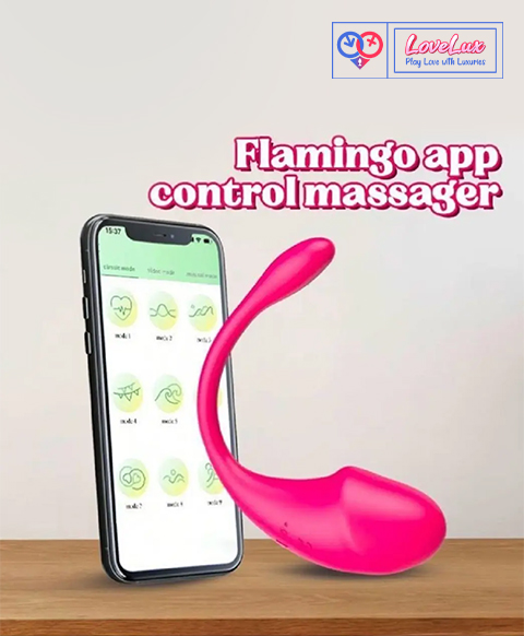 APP Control Vibrators