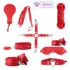 10 Piece Premium BDSM Set Red