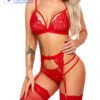 Bra & Panty Set Self Design Red Lingerie Set