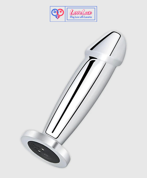 Stainless Steel Vibrating Butt Plug cum Dildo