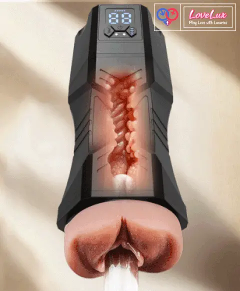male automatic masturbator with suction and vibration in India by LoveLuxToys