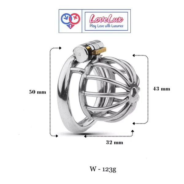 stainless steel male chastity cage with removable urethral tube and secure locking system Durable, hygienic, and ideal for fetish play penis lock device India by LoveLuxtoys